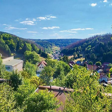 Werrapark Resort Ferienhaeuser Am Sommerberg Premium Массерберг Экстерьер фото