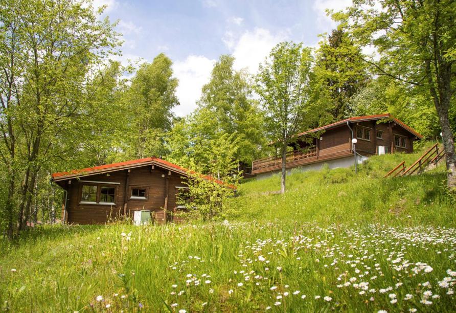 Werrapark Resort Ferienhaeuser Am Sommerberg Premium Массерберг Экстерьер фото